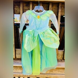 Disney Tinkerbell Princess Fairy Halloween Costume dress up